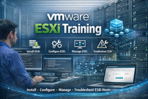 VMware ESXi Administrato with Labs | Hindi